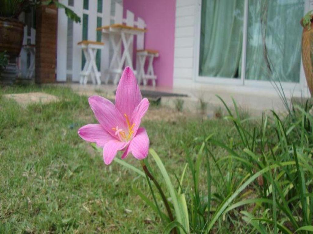 Baan Gon Chompu Hotel Suan Phueng Luaran gambar